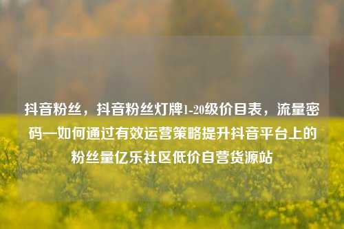 抖音粉丝，抖音粉丝灯牌1-20级价目表，流量密码—如何通过有效运营策略提升抖音平台上的粉丝量亿乐社区低价自营货源站  第1张